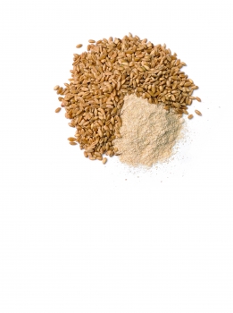 BL 9010_Milling_Whole wheat grains_BBL910