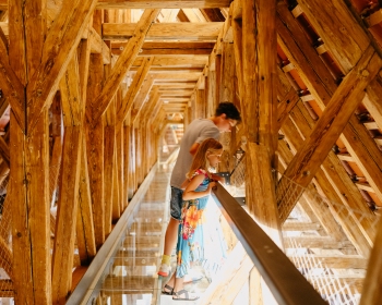 port1560_palac_krovy