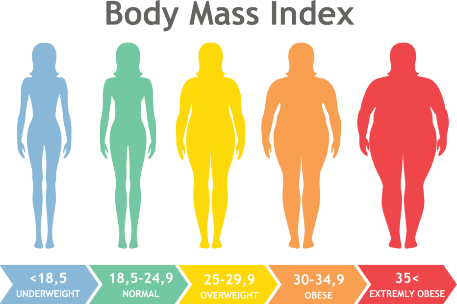Obezita ohrožuje i plodnost, BMI by měli mít pod kontrolou ženy i muži