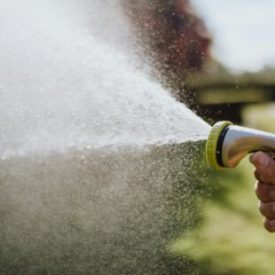 Jaro na zahradě: Jak vybrat čerpadlo, které vám usnadní zalévání