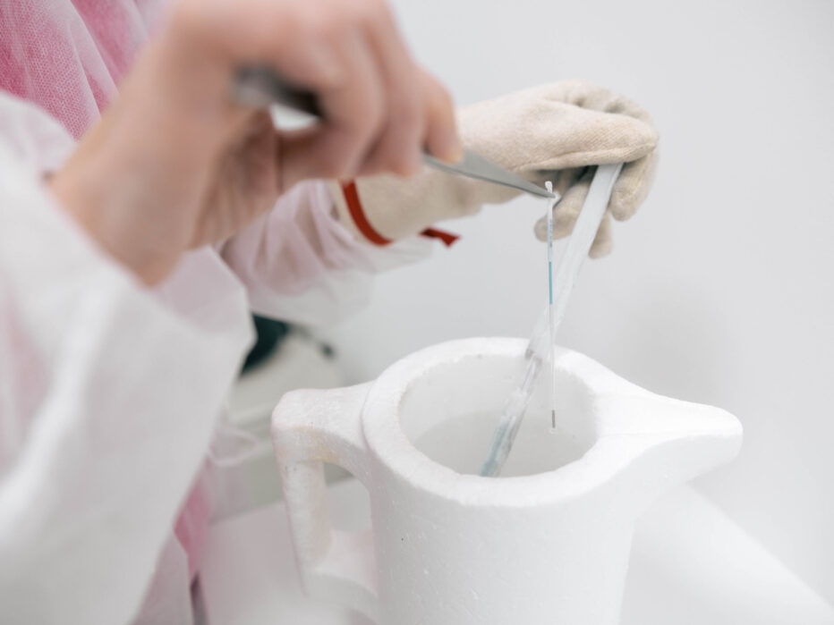 Social freezing: trend, o kterém se neříká všechno